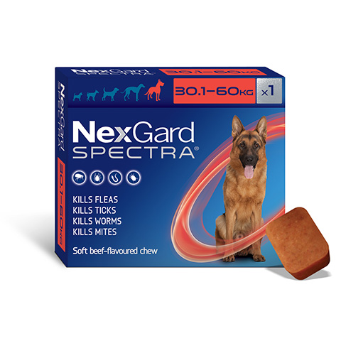 Nexgard spectra large dog best cheap price