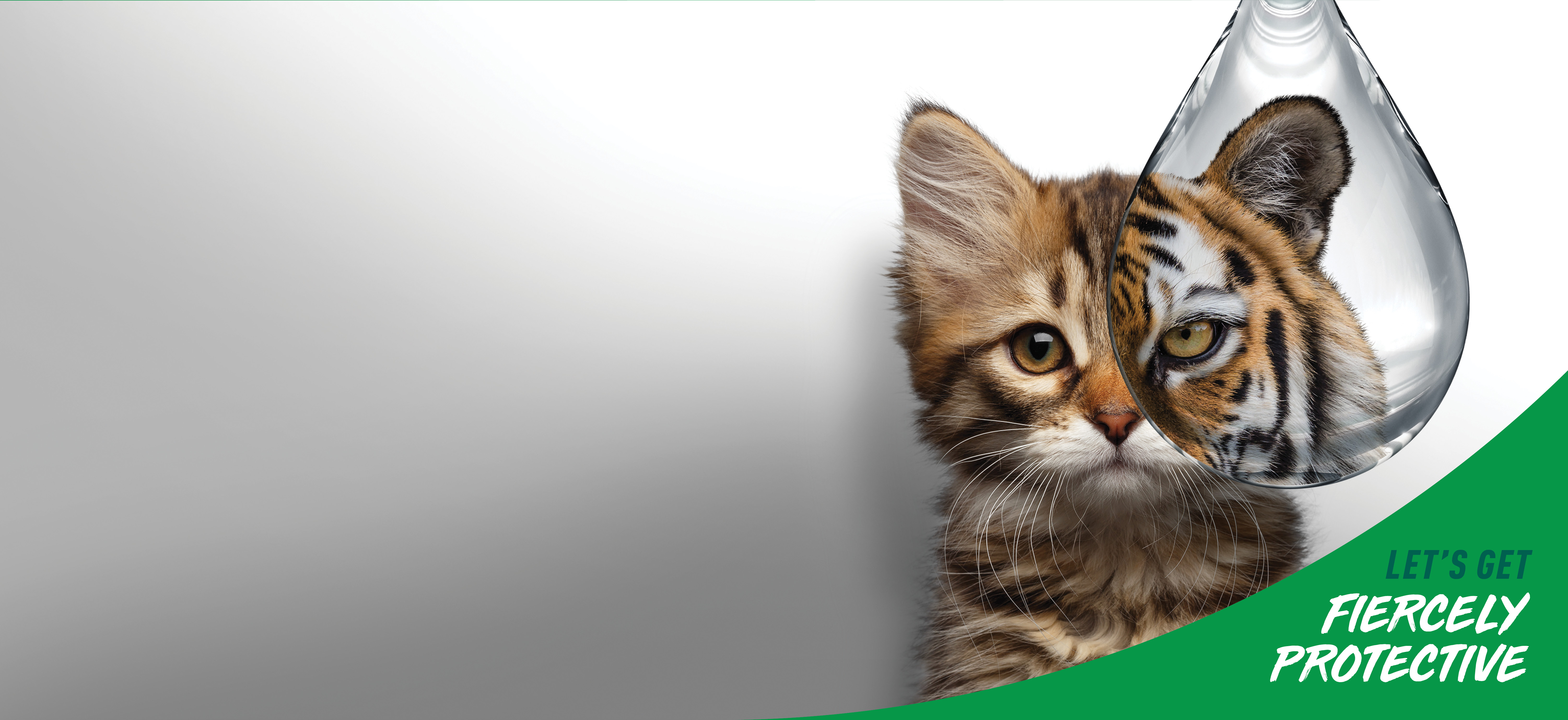 Nexgard Spectra Cat Instructions Nexgard Spectra Cat Instructions