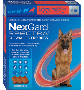 Nexgard Spectra Extra Large 30.1-60kg Dog - 1 Chew - NZ Wide Shipping