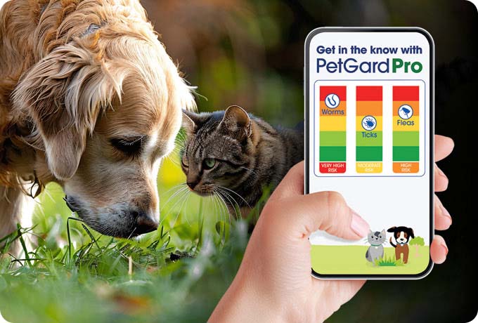 Parasite-Risk-Assessment-Tool-for-Cats-and-Dogs