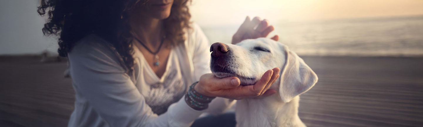Pet-owner-providing-care-and-affection-to-their-dog-on-the-beach